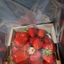 이삭음악학원 이미지