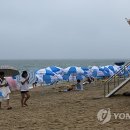 경포12호