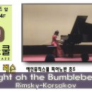다산예인뮤직스쿨음악학원 이미지