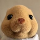 (주)씨디플러스 | 일본(나고야) 워홀 알바 면접 후기(사무직, 굿즈샵, 돈키호테)