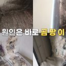 힐더홈 컴퍼니