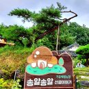 순박2농장 이미지