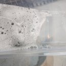 대디카디테일링 이미지