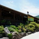 배꼽장승 이미지