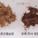 포항곤충농장 이미지