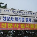 성문사 이미지