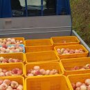 오봉농장 이미지