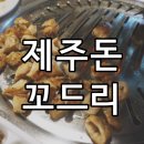 제주돈꼬드리 이미지