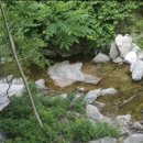 전원민박 이미지