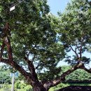 진주 두문리 이정표석 이미지