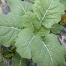 성하농장 이미지