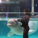 롯데월드아쿠아리움 이미지