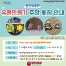 합천박물관 이미지