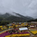 남교선녀마을 | 🍂✨ 25년 인제군 농촌크리에이투어 <꽃밭에서 캠핑어텀> 후기 ✨🍁