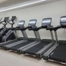 홍군상사 이미지