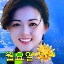 홀로피는 연꽃 ㅡ김 무한 노래ㅡ아름다운 연꽃 영상 ㅡ연꽃의 10가지 의이 영상글 ㅡ 이미지