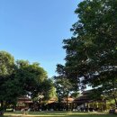 요리교실 | 치앙마이 요리교실 저녁 클래스 후기 @그랜마즈 홈 쿠킹 스쿨