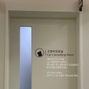 더원고양이동물병원 이미지