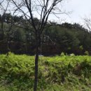 팔공펜션 1945 이미지