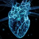 CW-1025-01 이미지