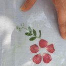 서명초등학교 이미지