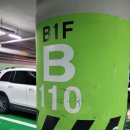 반월당 대구약국 | 대구 반월당역 약국 성지 약 구입 첫 도전! 텐텐부터 콘드로이친까지 내돈내산 득템 후기