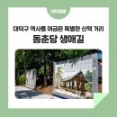 송청택지 소나무가로수 | 대덕구 역사를 머금은 특별한 산책 거리 '동춘당 생애길&amp;삼강려 애각'