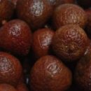 리치 티스토리