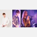 스타더스트