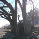 덕곡경로당 이미지