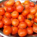 잭과 사과나무 이미지