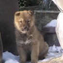 달건너농장 이미지