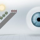 아이젠트리 안경 롯데마트 동래점 이미지