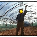 가곡농장 이미지