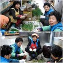 조군농장 이미지