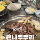 큰나무두리
