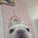 프리펫시티 이미지