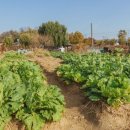 솔이농장 이미지