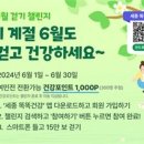 세종시,매월 15만보 걷기 챌린지 진행 이미지