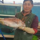 고향펜션민박 이미지