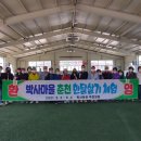 박사마을 이미지