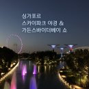 스카이베이더파크 | 싱가포르 스카이파크 | 입장권 할인 꿀팁과 슈퍼트리쇼 시간 야경 감상 팁!