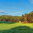 칠전동길4 이미지