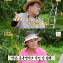 동업 농장 뉴스엔