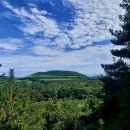 붉은오름자연휴양림2 이미지