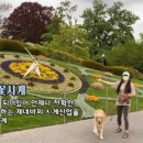 제토산업 네이버블로그