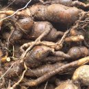 대박1농장 이미지