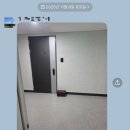 복터진강아지 | 우리 우정 뽀에버..