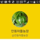 마뜰농장 네이버블로그