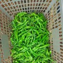 원두골농장 이미지